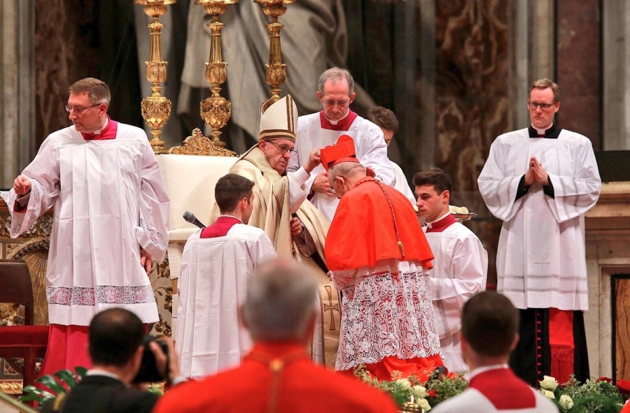 Misa de acción de gracias por la creación como cardenal del arzobispo