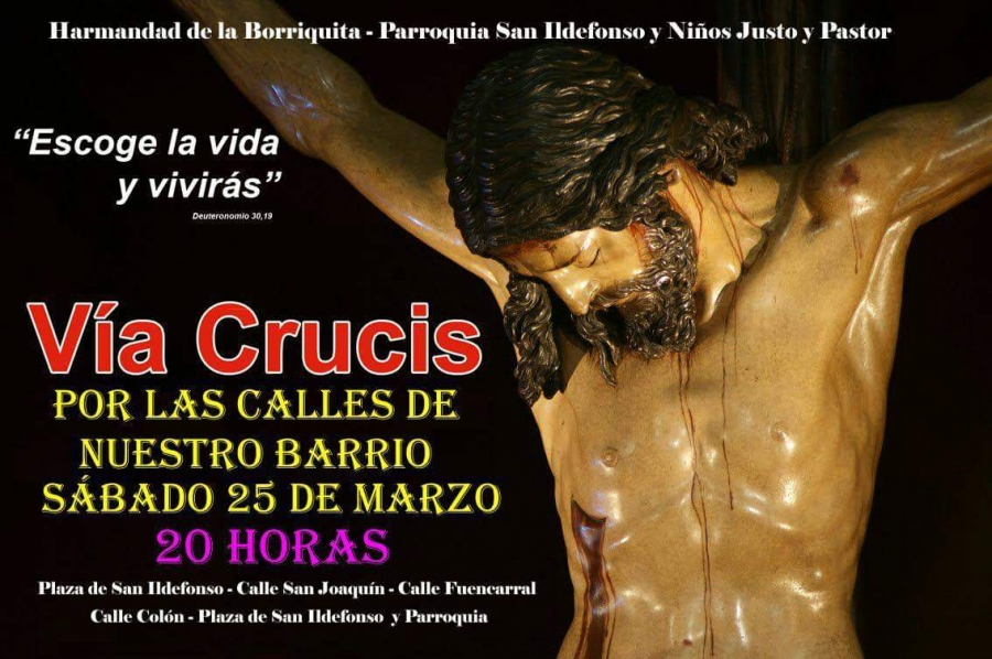 La Hermandad de la Borriquita realiza este sábado un via crucis penitencial