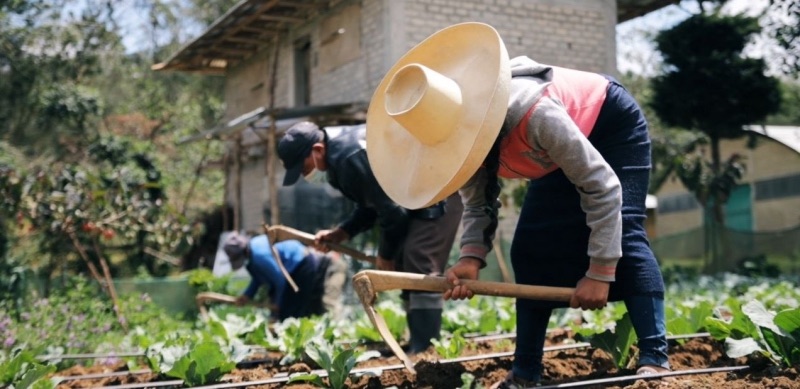 Agricultores