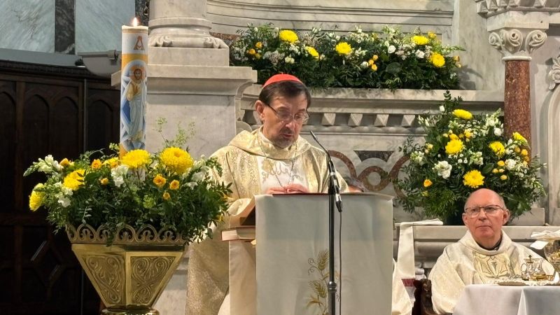 Cardenal Cobo filiación Agustinos