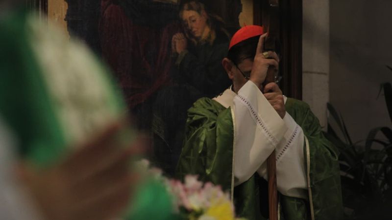 Cardenal Cobo misa acción de gracias