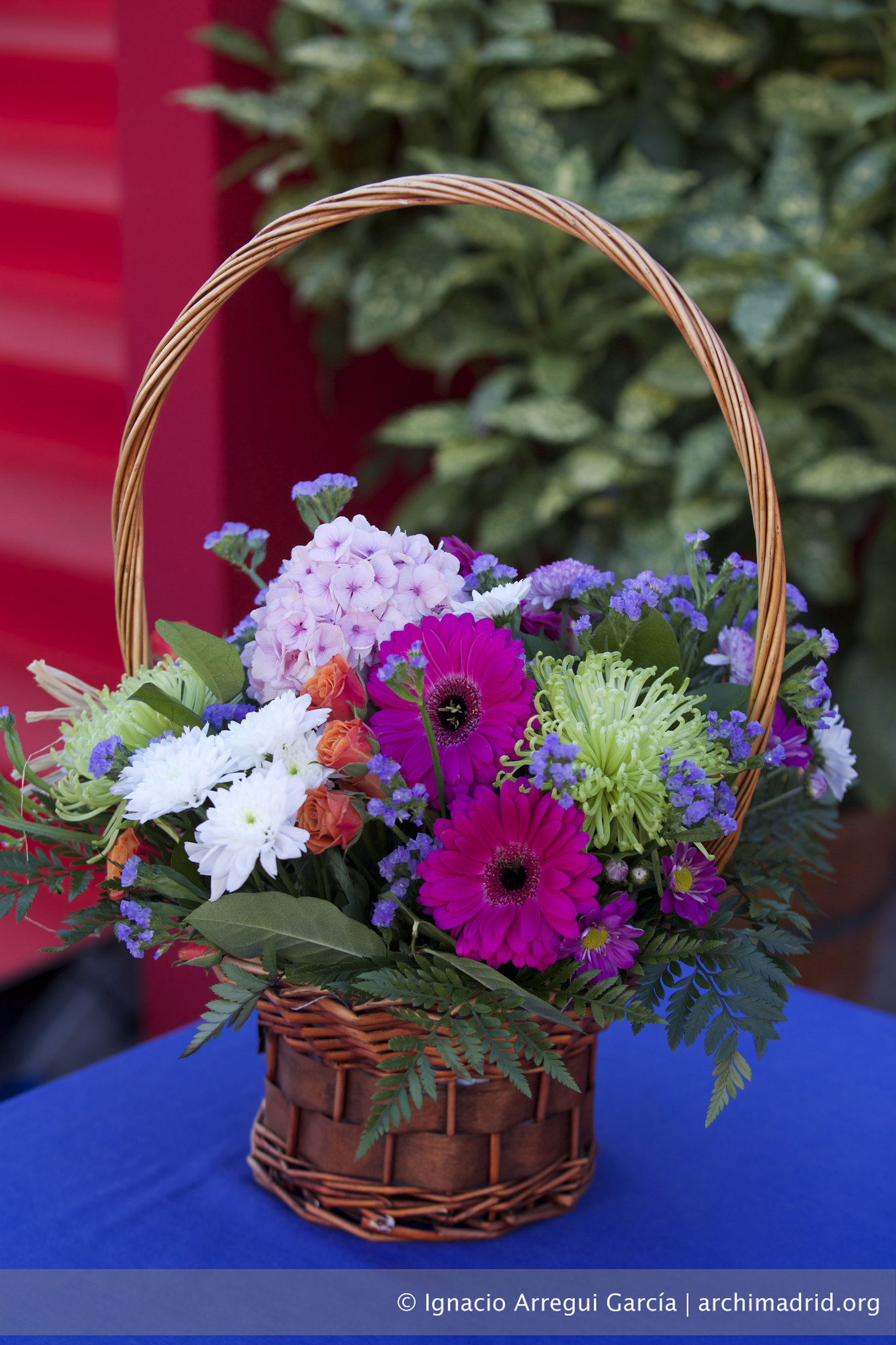 2015-11-09 - Festividad de la Almudena 2015