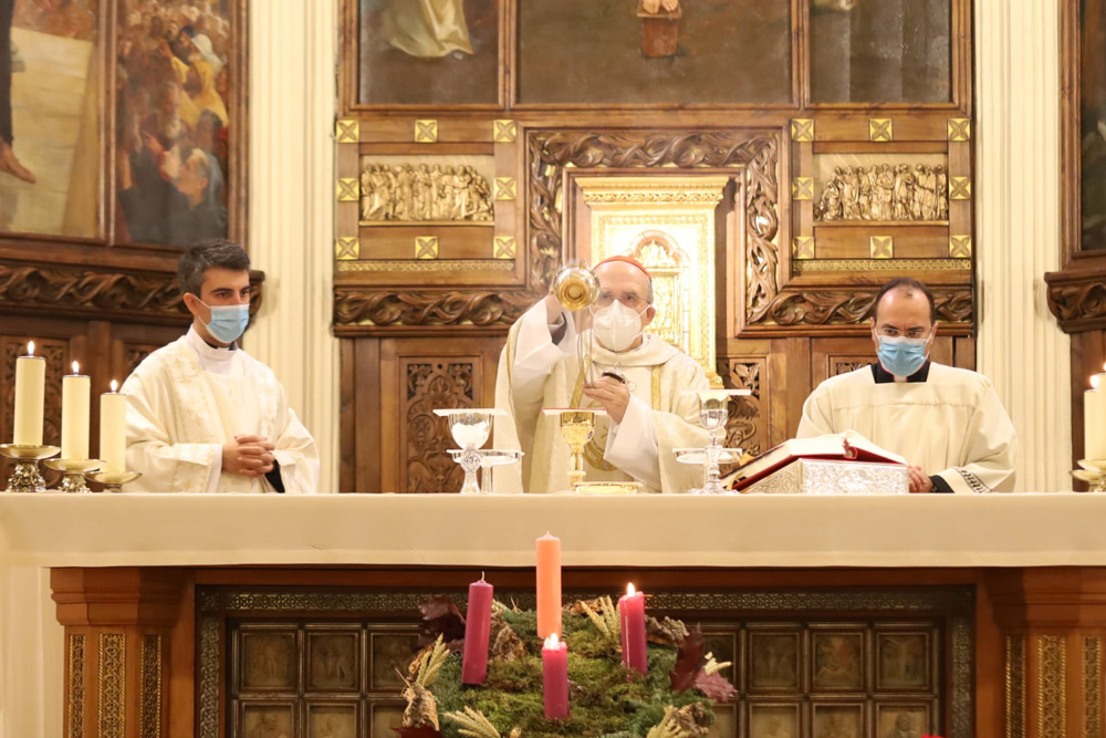 2020-12-11 - Festividad de san Dámaso