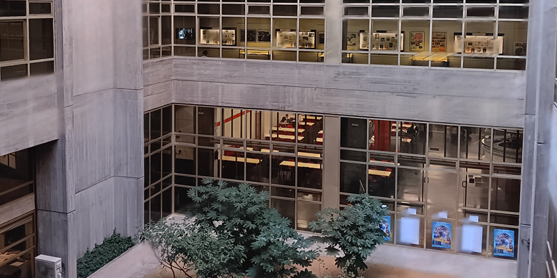 Periodismo capellan patio