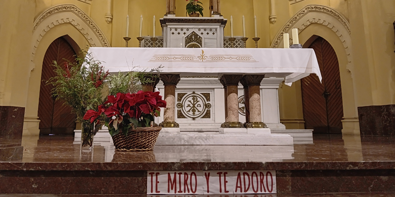 Santa Rafaela Maria palabras