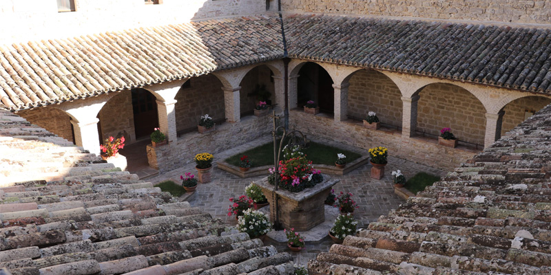 Cantico criaturas san damian