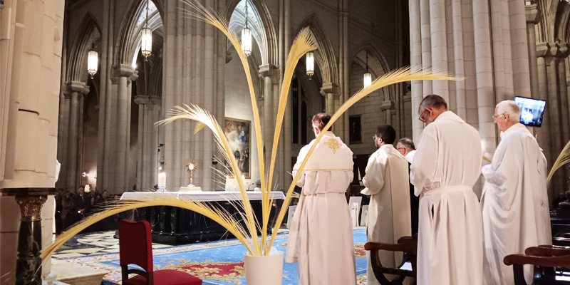 Noche testigos adoracion