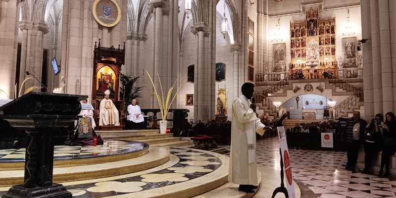 Noche testigos emmanuel