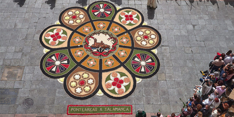 Alfombra almudena salamanca