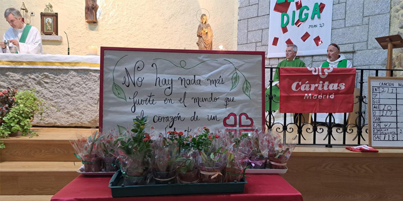 Caritas loyoza texto