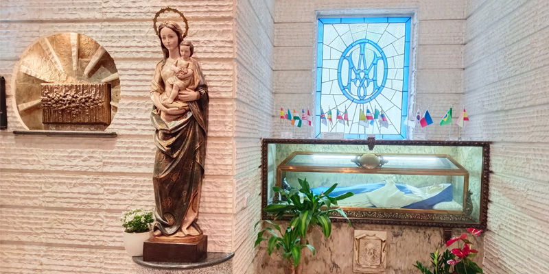 Colegio carmen salles tumba 25