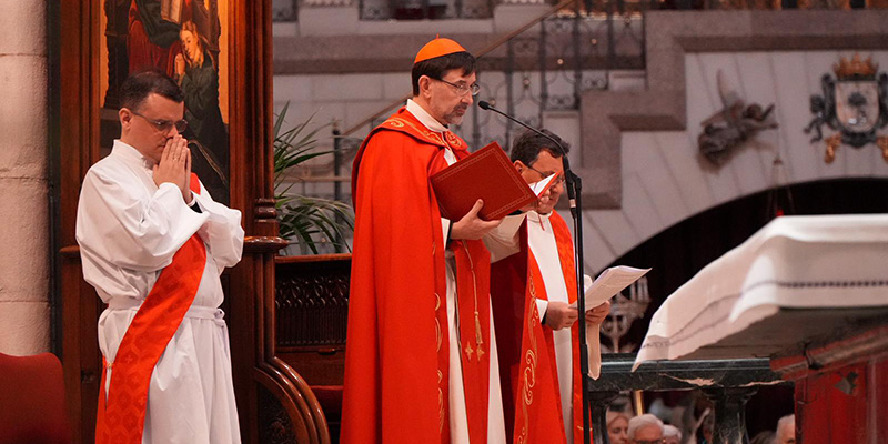 Via crucis caredenal