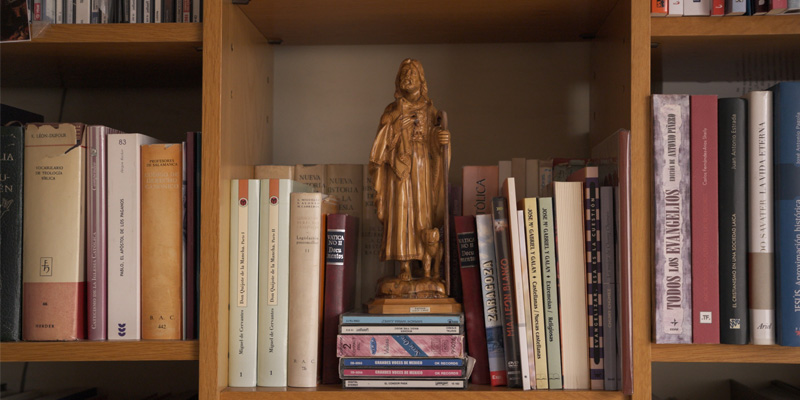 Daniel sanchez merino buen pastor