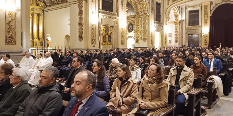 San damaso general espalda