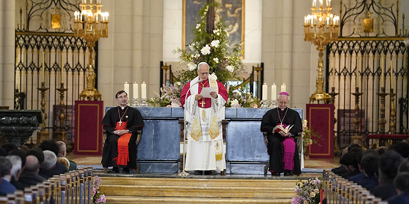 Estola Papa general