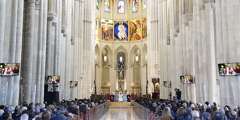Papa catedral rosa general