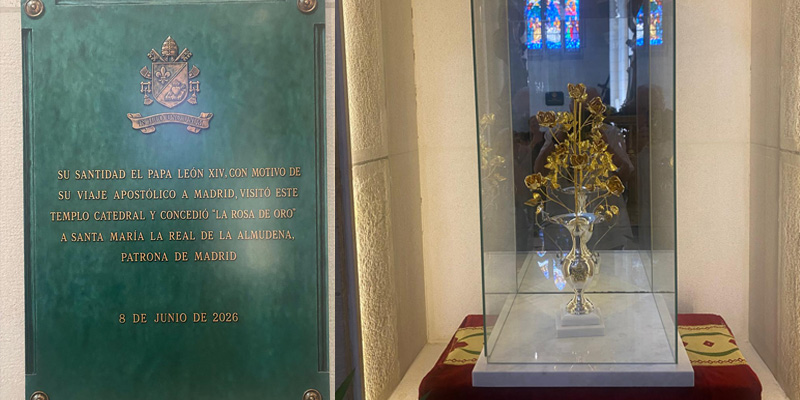 Rosa de oro catedral viva