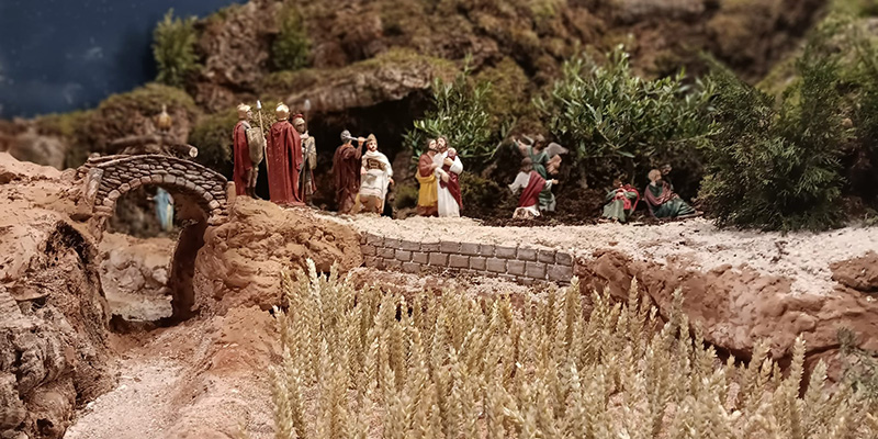 Pasion Bonifacio espigas