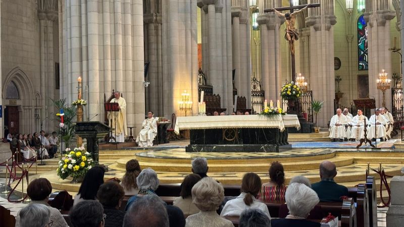 José Luis Segovia en la Catedral