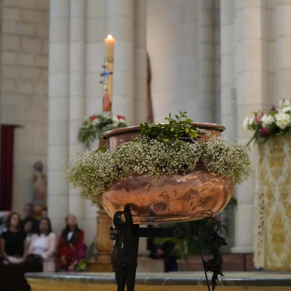 2026-04-05 - Misa del Domingo de Resurrección