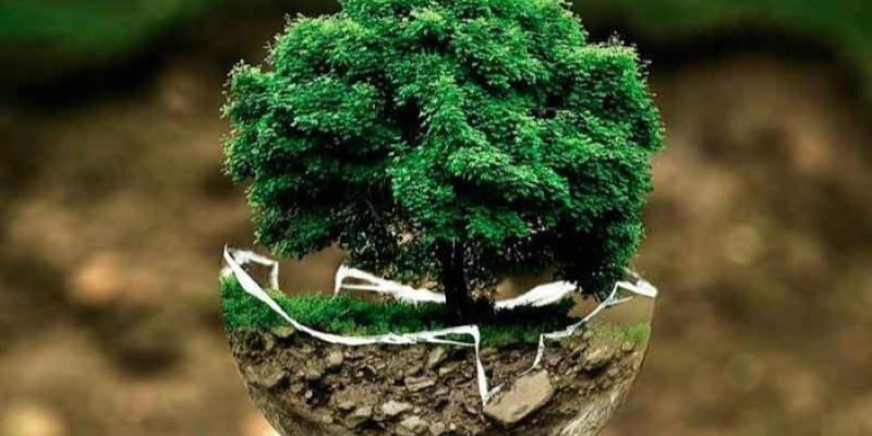 El obispo auxiliar Vicente Mart&iacute;n Mu&ntilde;oz participa en el primer encuentro nacional de Ecolog&iacute;a Integral organizado por la CEE