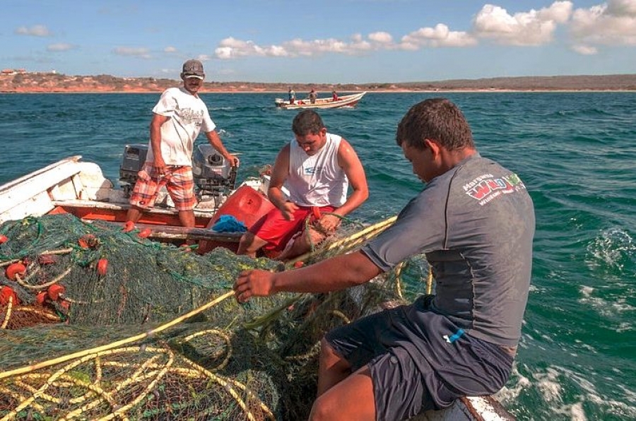 El Vaticano presentar&aacute; en los Emiratos &Aacute;rabes el mensaje del D&iacute;a mundial de la pesca