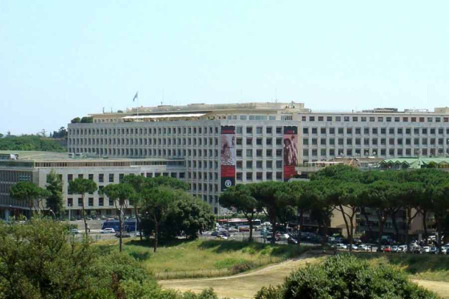 Observador del Vaticano en la FAO (II): conflictos armados y proteccionismo son factores de pobreza