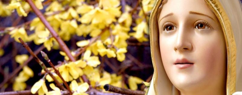 Encarnación del Señor celebra la fiesta de Nuestra Señora de Fátima con rezo del rosario y procesión de antorchas