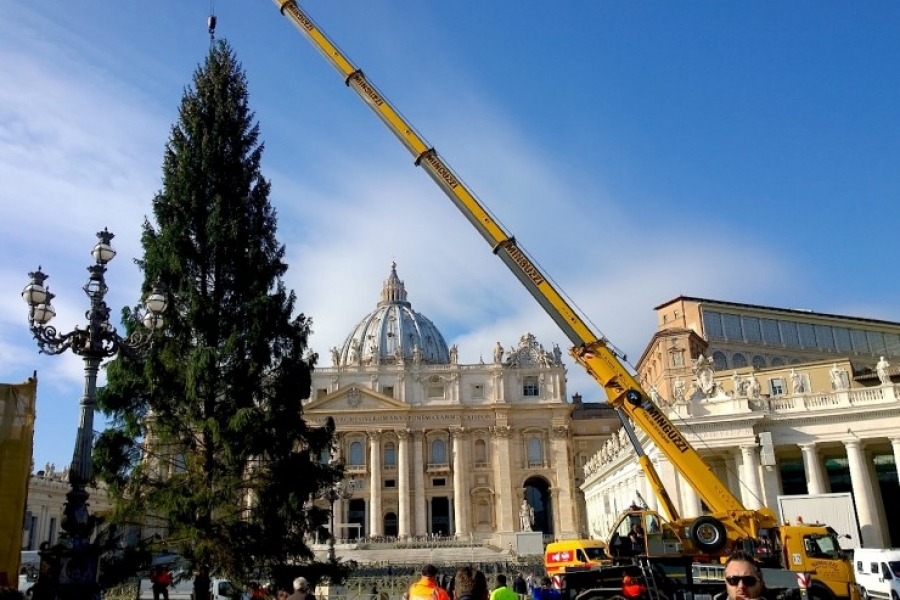 El &aacute;rbol del Navidad ya est&aacute; en la plaza de San Pedro