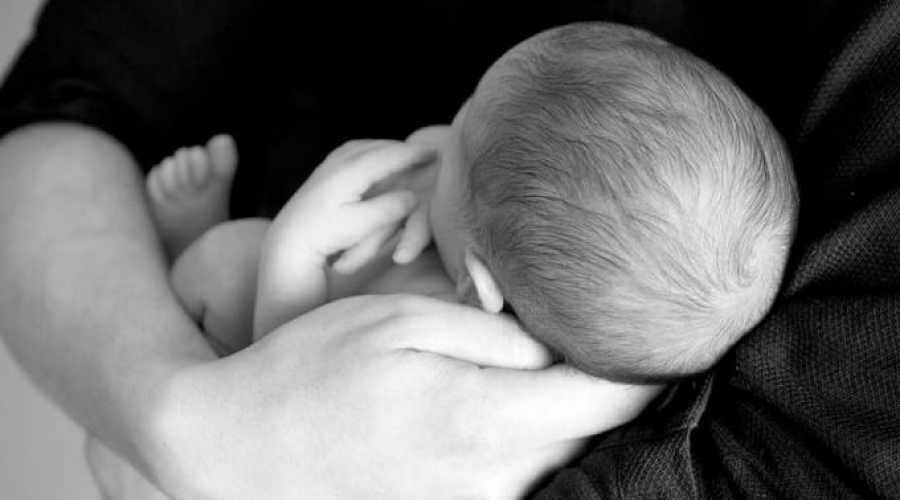 Arzobispo de Sidney celebra rechazo de proyectos de ley pro aborto