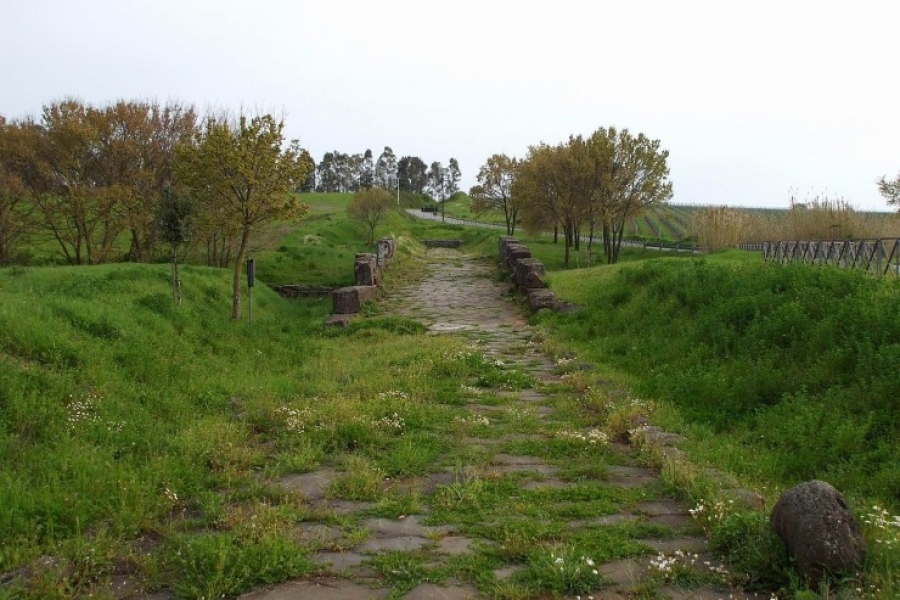 Francisco: 'La vida es para caminar y proclamar el Evangelio de Jes&uacute;s'
