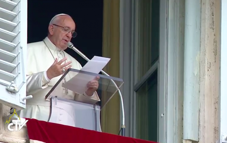 Texto completo del papa Francisco en el &aacute;ngelus