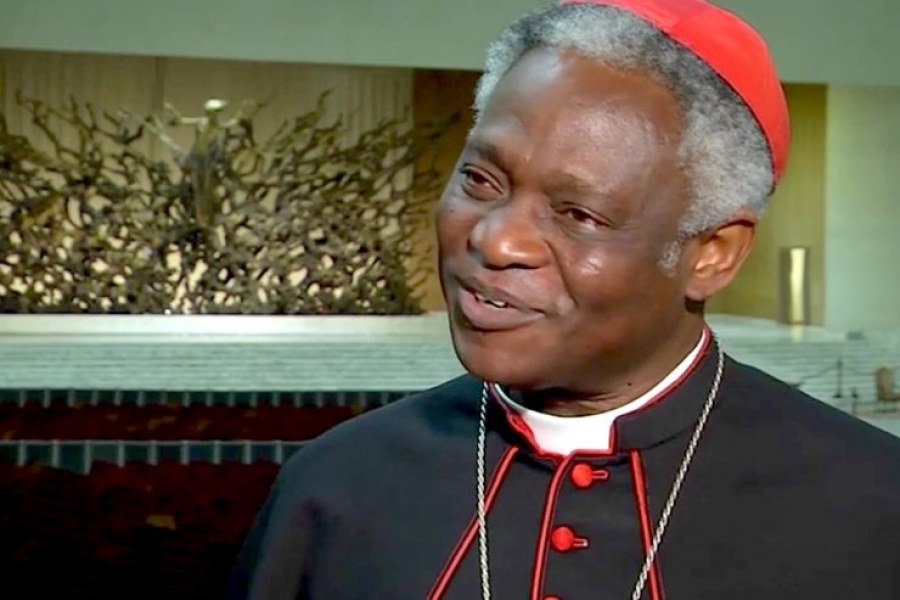 Cardenal Turkson: &laquo;Si se aborda con el enfoque correcto, la lepra se podr&aacute; erradicar&raquo;
