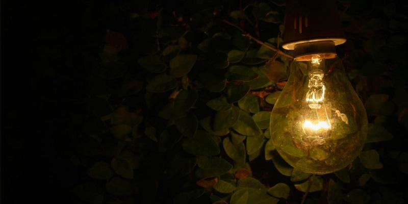 C&aacute;ritas da las gracias a sus cerca de 9.500 voluntarios en el D&iacute;a Internacional del Voluntariado: &laquo;Tu compromiso hace posible nuestra misi&oacute;n de evangelizar con obras de amor&raquo;