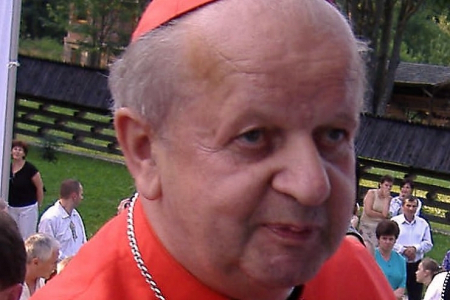 Cracovia 2016: La &laquo;llama de la misericordia&raquo; en las manos de los j&oacute;venes de todo el mundo