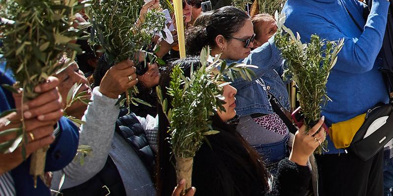 La catedral de la Almudena acoge la celebraci&oacute;n del Domingo de Ramos, con bendici&oacute;n solemne de los ramos