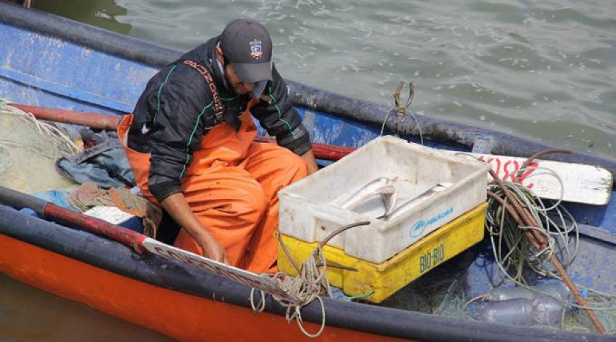 Iglesia en Chilo&eacute; lanza campa&ntilde;a de ayuda tras crisis de &laquo;marea roja&raquo;