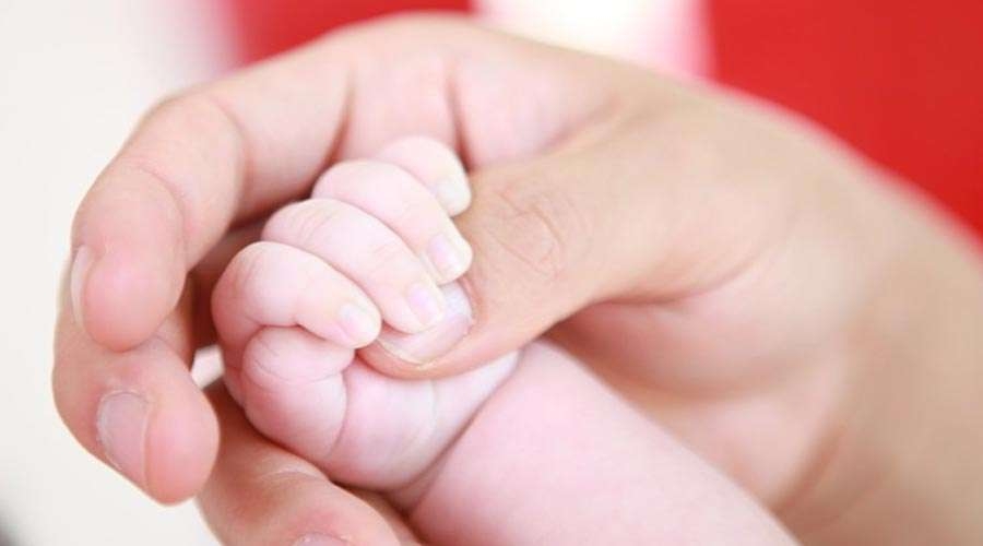 Obispos de Ecuador piden al gobierno defender la familia y la vida