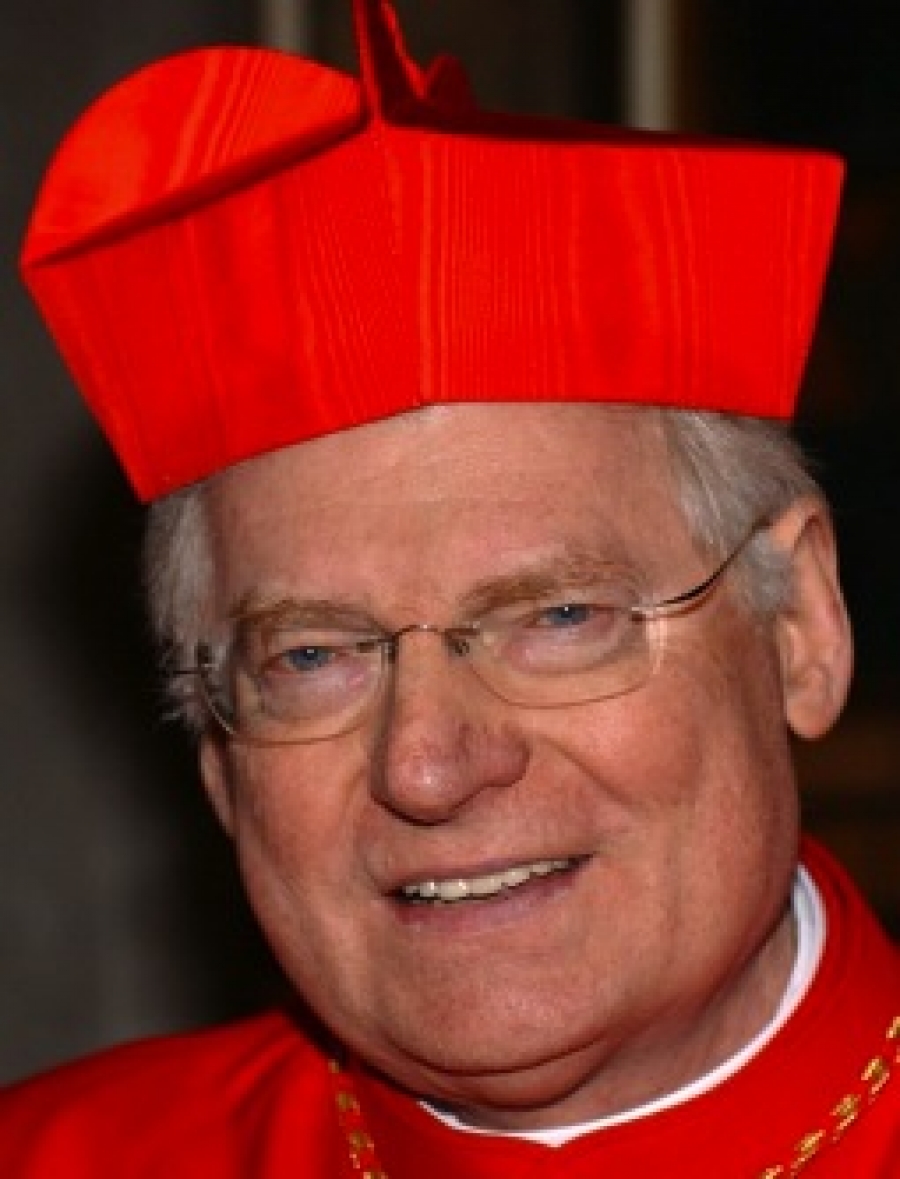 Francisco visitar&aacute; Mil&aacute;n el 7 de mayo del 2016