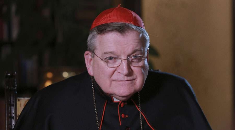 Cardenal Burke: Lefebvristas est&aacute;n en cisma con la Iglesia Cat&oacute;lica