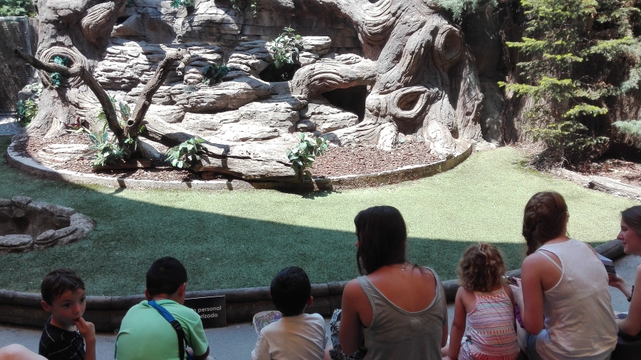 Excursi&oacute;n al Safari Park de la colonia urbana de C&aacute;ritas Vicar&iacute;a VII