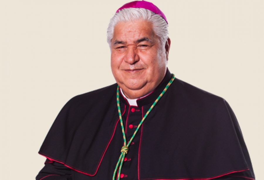 Los obispos mexicanos presentan la &lsquo;Laudato Si' en el Senado