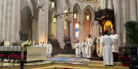 Homil&iacute;a del cardenal Jos&eacute; Cobo en la solemnidad del Bautismo del Se&ntilde;or (12-01-25)