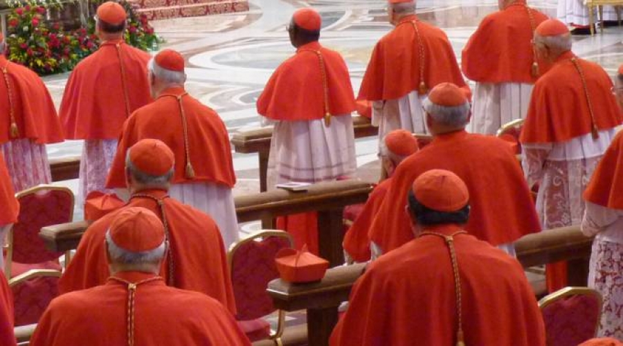 Consejo de cardenales que asesora al Papa se re&uacute;ne y trata asuntos como estos