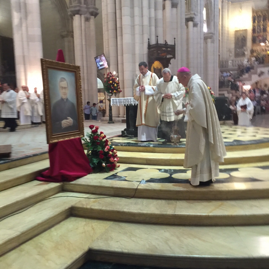 El Arzobispo de Madrid pide difundir la encíclica del papa Francisco y cuidar de la creación