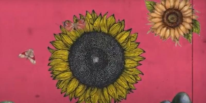 'El dilema del prisionero' gana la XI edici&oacute;n del Festival de Clipmetrajes de Manos Unidas