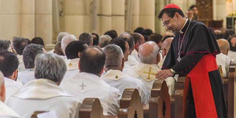 Cardenal Cobo: &laquo;Junto a la tumba de San Pedro y en la alegr&iacute;a de acoger al nuevo Papa Le&oacute;n XIV, no dejo de teneros presentes&raquo;