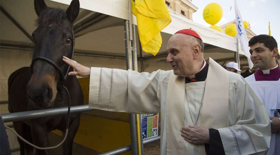 Vaticano instala una granja temporal para celebrar San Antonio Abad