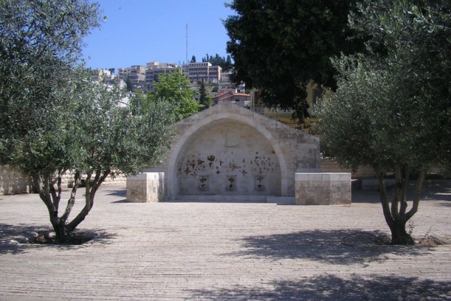 La Jornada Mundial del Enfermo se celebr&oacute; ayer en Tierra Santa