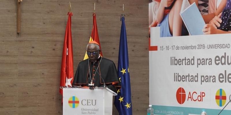 Cardenal Robert Sarah: &laquo;La educaci&oacute;n est&aacute; en el coraz&oacute;n de la misi&oacute;n de la Iglesia&raquo;